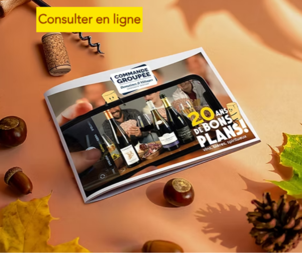 domaines-et-villages bons plans mon- cse-by-ce-multi-entreprises avantage salarié réduction économie pouvoir d’achat